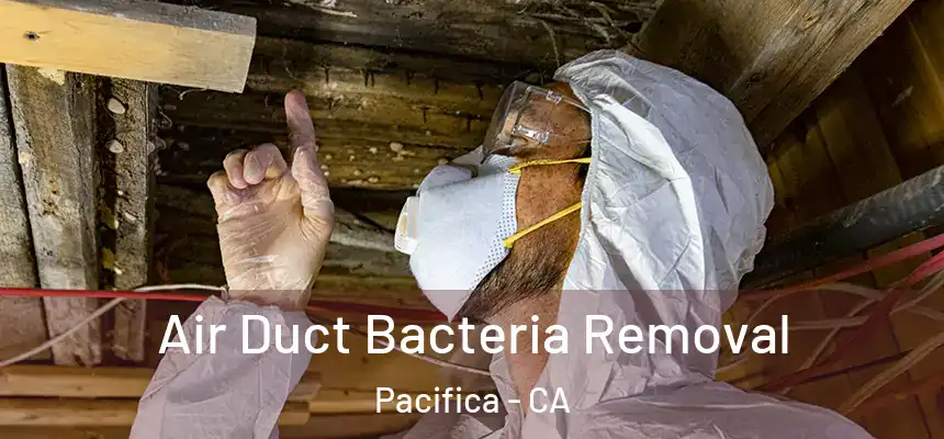  Air Duct Bacteria Removal Pacifica - CA