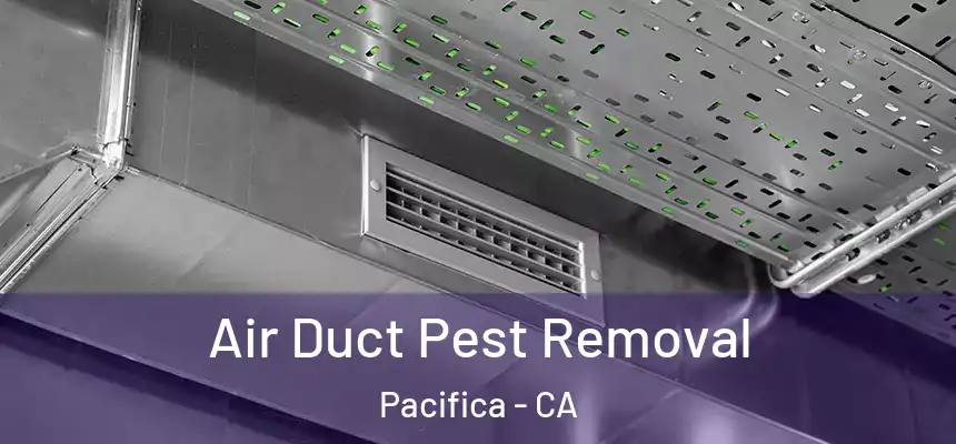 Air Duct Pest Removal Pacifica - CA