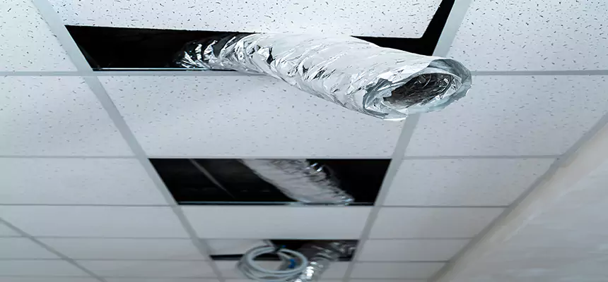 Affordable HVAC Sanitizing After Pest Removal in Pacifica