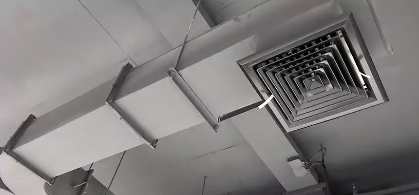 Restorative Allergy Relief Vent Cleaning – Coil, Blower & Housing Detail in Pacifica