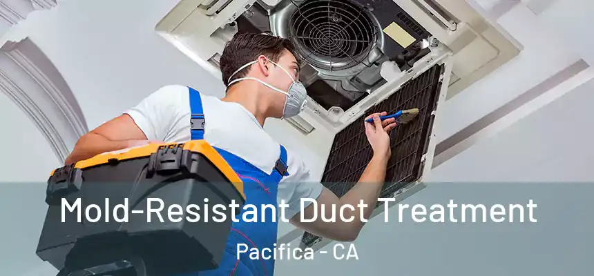 Mold-Resistant Duct Treatment Pacifica - CA