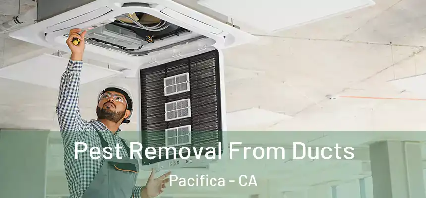 Pest Removal From Ducts Pacifica - CA