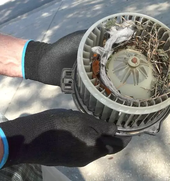 About Air Duct Mice Removal in Pacifica, CA