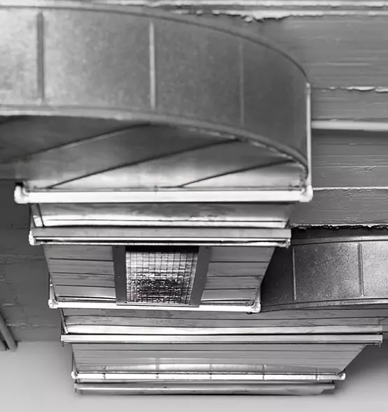 Professional Air Duct Pest Removal in Pacifica, CA