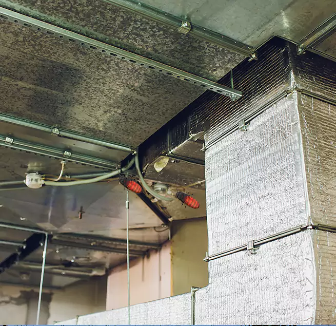 Why Homeowners & Businesses Trust Us in Pacifica, CA?